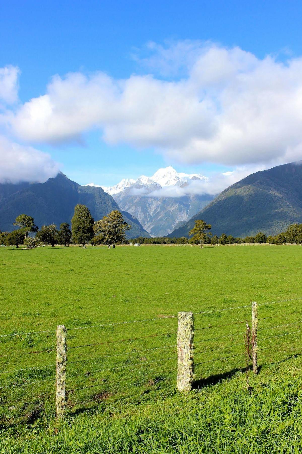 Lake Matheson Motel Льодовик Фокса Екстер'єр фото